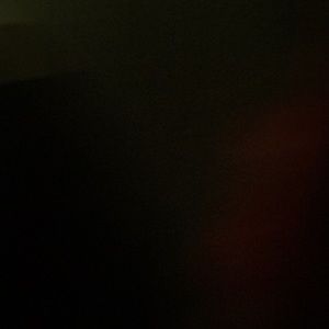 Meet your Posher, Tanner